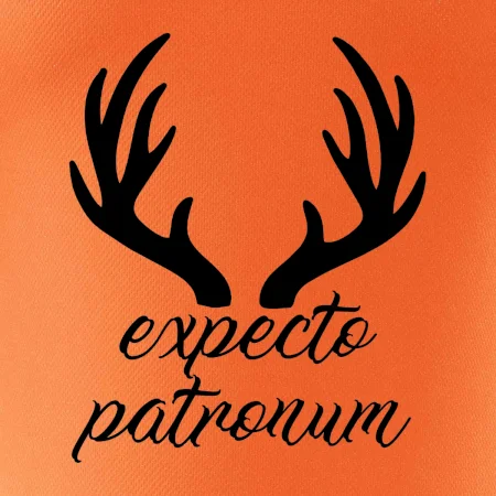 Harry - Expecto patronum