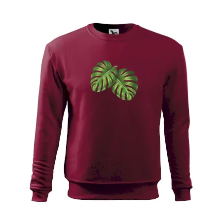 Monstera - dva listy