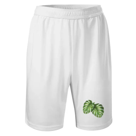 Monstera - dva listy