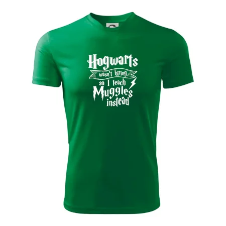Harry - Hogwarts wasn’t hiring, so I teach Muggles instead
