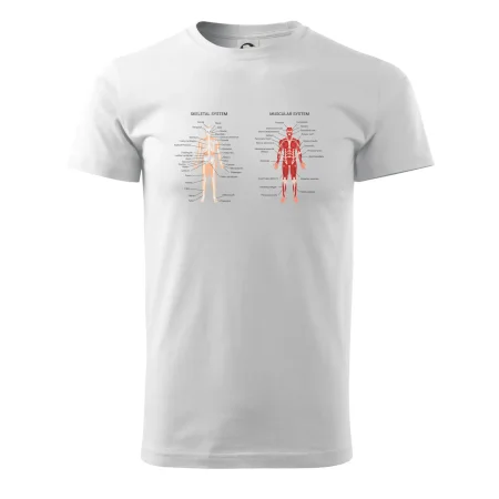 Skelet and Moscular system