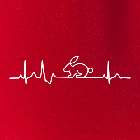 EKG králik