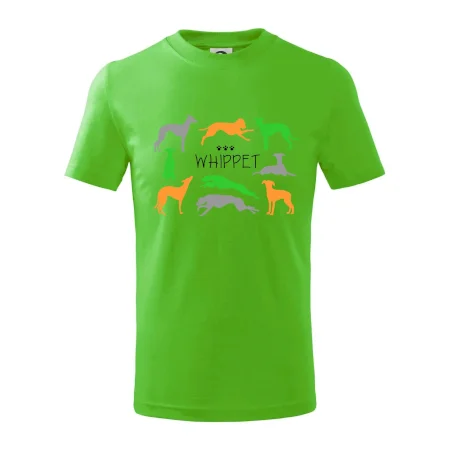 Whippet farebný