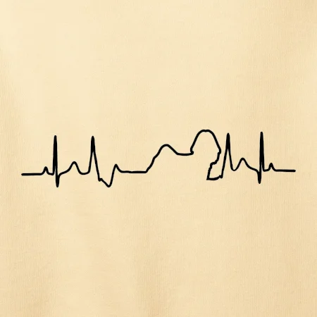 Shih-tzu ekg obrys