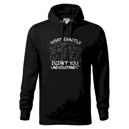 What exactly didn't you understand - physics