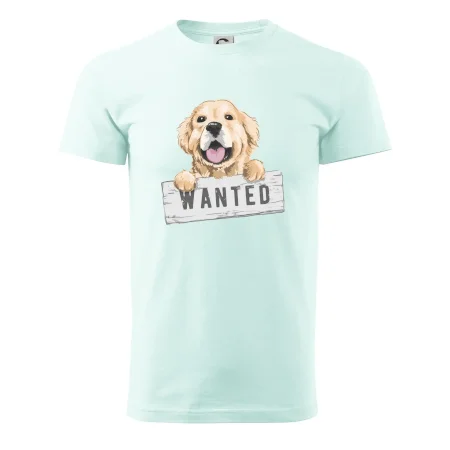 Zlatý retriever - šteniatko wanted