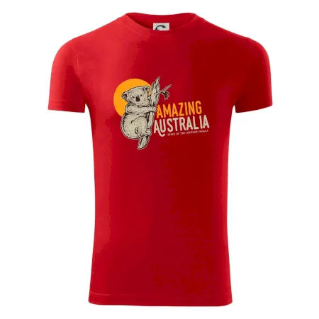 Amazing Australia koala
