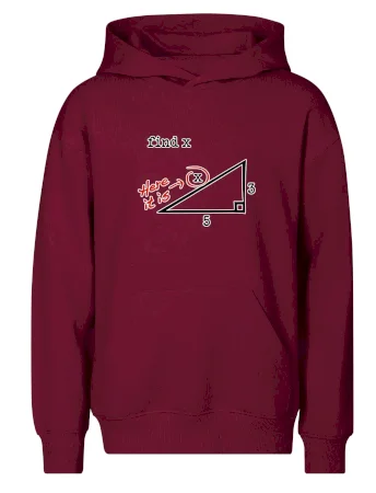 Find X - geometria