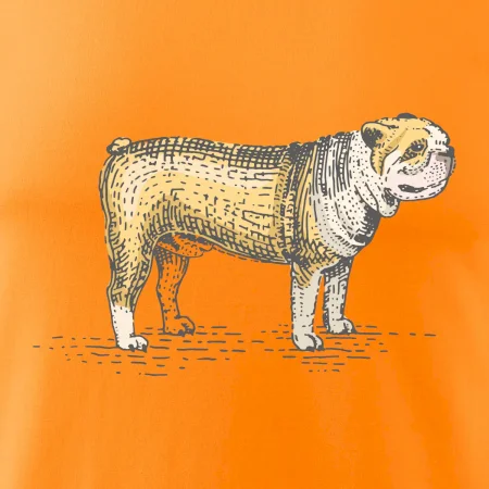 Vintage bulldog