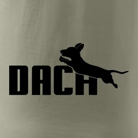 Jazvečík Dach