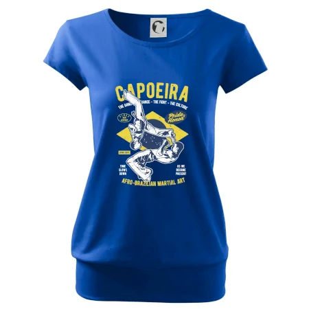 Capoeira  Afro-brazil art