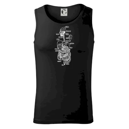 Skica ľudských orgánov