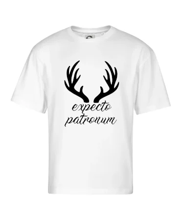 Harry - Expecto patronum