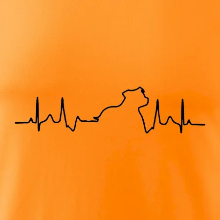 Stafordšírsky bulteriér ‎ EKG