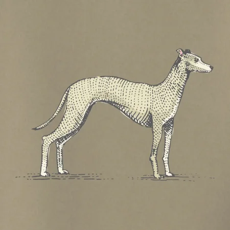 Vintage Whippet