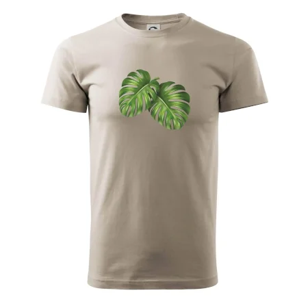 Monstera - dva listy