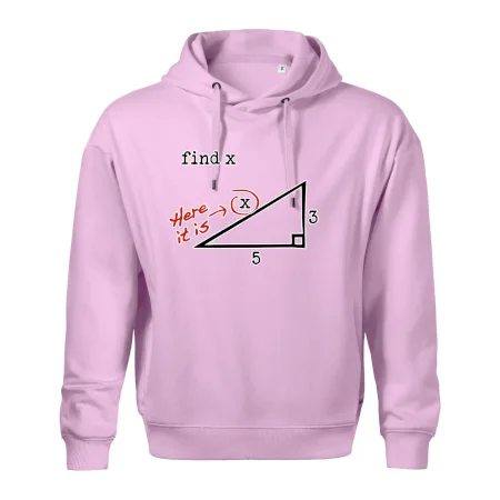 Find X - geometria