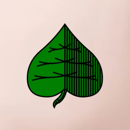 Prší - Zelený