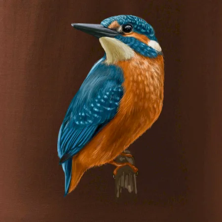 Ľadnáčik kreslený