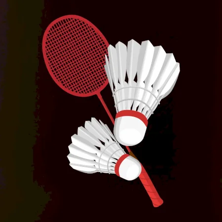 Bedminton - pálka a košík