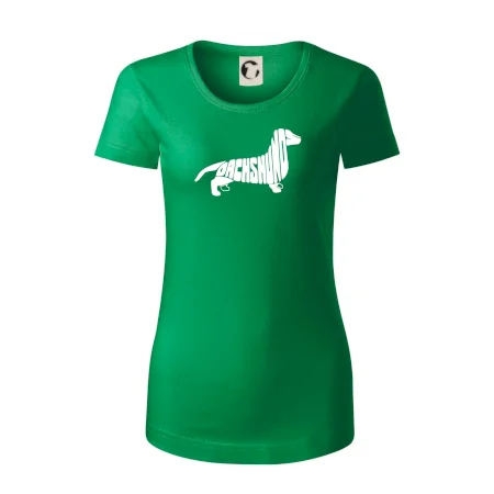 Jazvečík - Dachshund