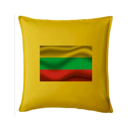 Litva vlajka obdĺžnik