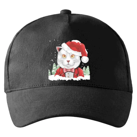 Santa kocúr