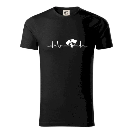 Jack Russell Teriér hrubosrstý Ekg