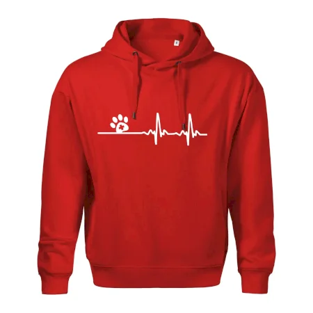 Veterinár EKG