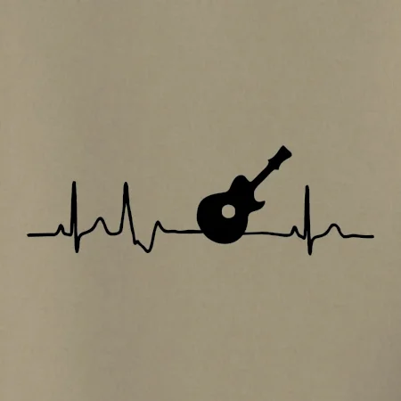 EKG akustická gitara