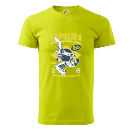 Capoeira  Afro-brazil art