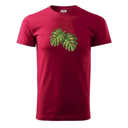 Monstera - dva listy
