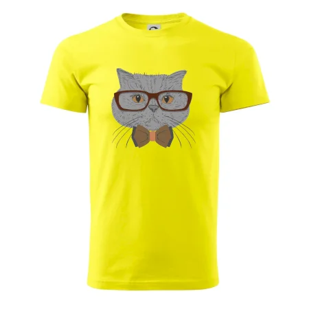 Hipster britská modrá