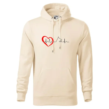 Nemecký ovčiak ekg