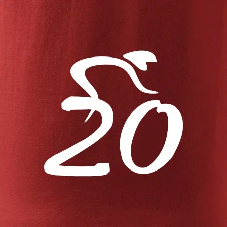 Cyklista oslavuje dvadsiatku (20)