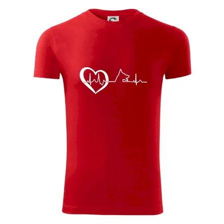 Nemecký ovčiak ekg