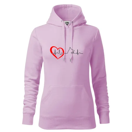 Nemecký ovčiak ekg