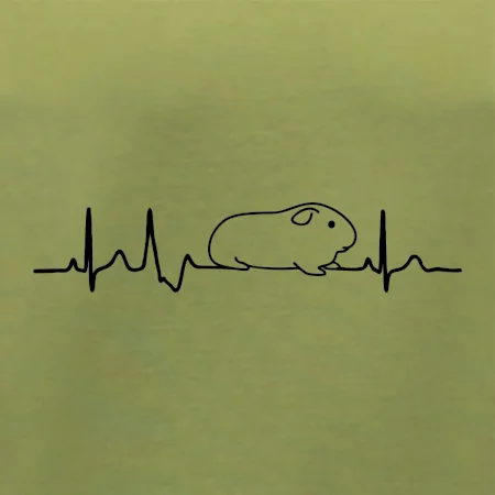 EKG morča