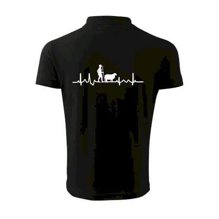 Ekg pastier oviec