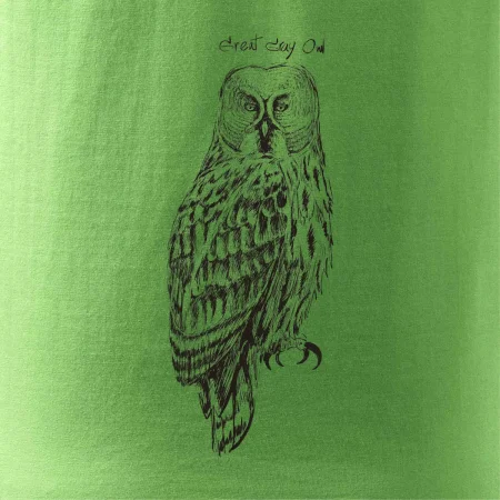 Sova bradatá Barred owl