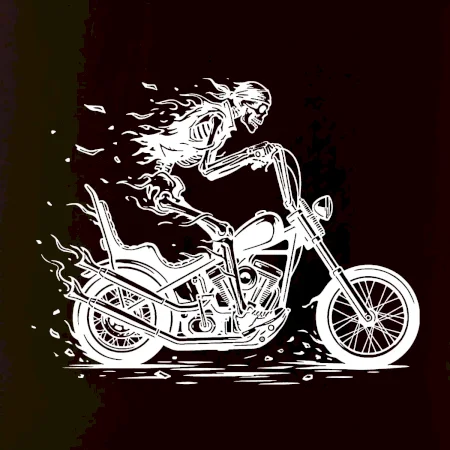 Chopper kostra