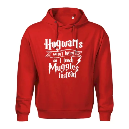 Harry - Hogwarts wasn’t hiring, so I teach Muggles instead