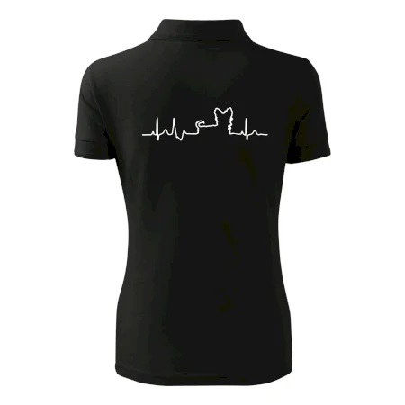 Yorkshirský teriér EKG