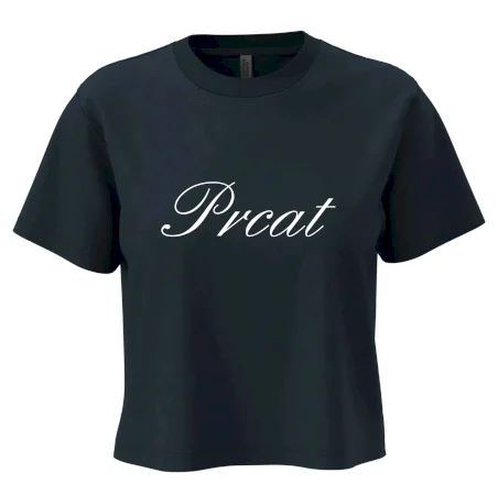 Prcat (súložiť vulgárne)