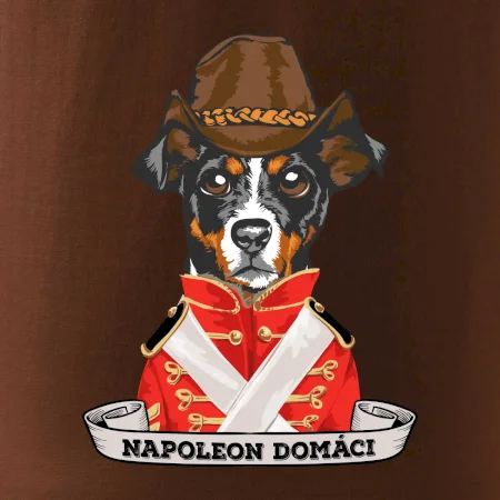 Napoleon domáci kríženec