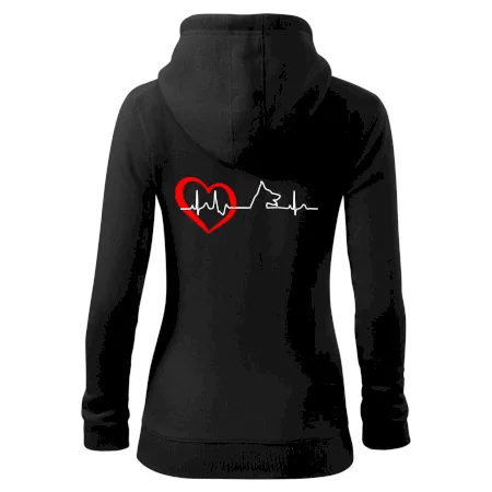 Nemecký ovčiak ekg