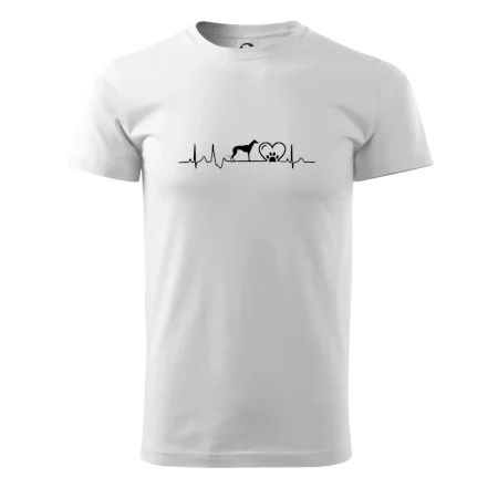 Chrt - Ekg