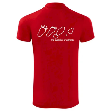 Evolution of authority