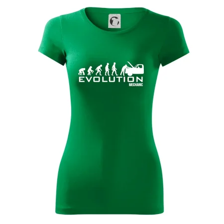 Evolúcia mechanik