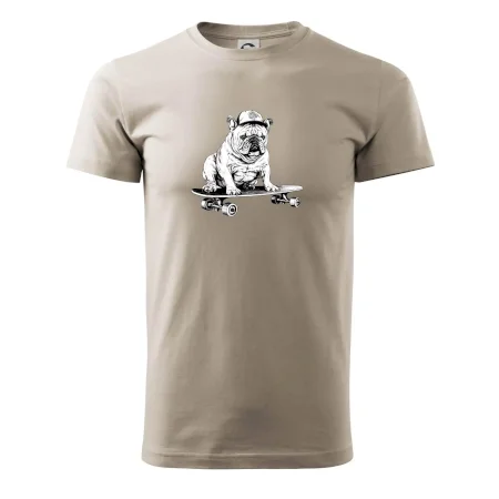 Čiernobiely buldog na skateboarde